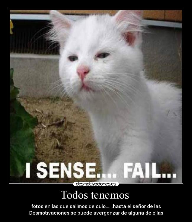 Todos tenemos  - fotos en las que salimos de culo......hasta el señor de las
Desmotivaciones se puede avergonzar de alguna de ellas