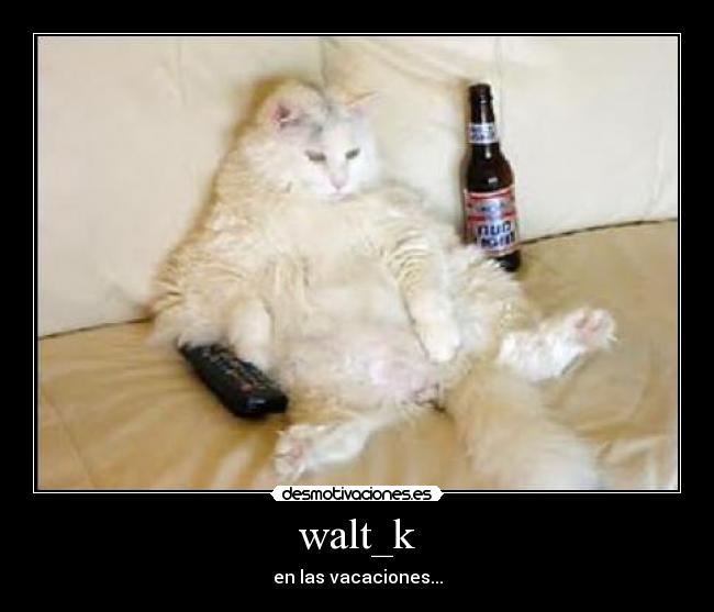walt_k - en las vacaciones...