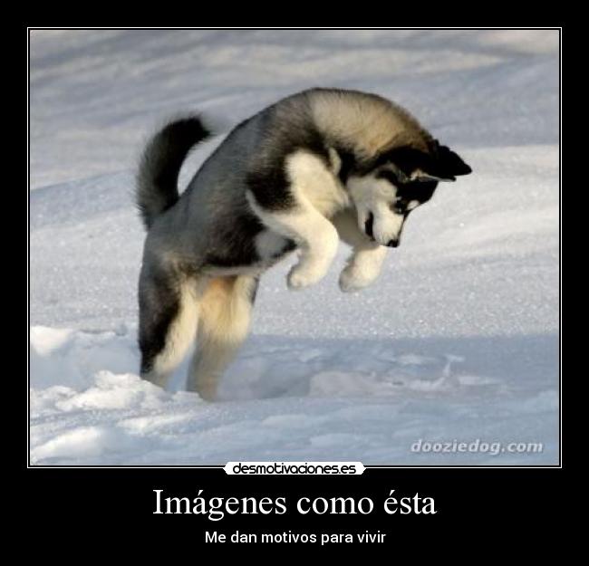 Imágenes como ésta - Me dan motivos para vivir