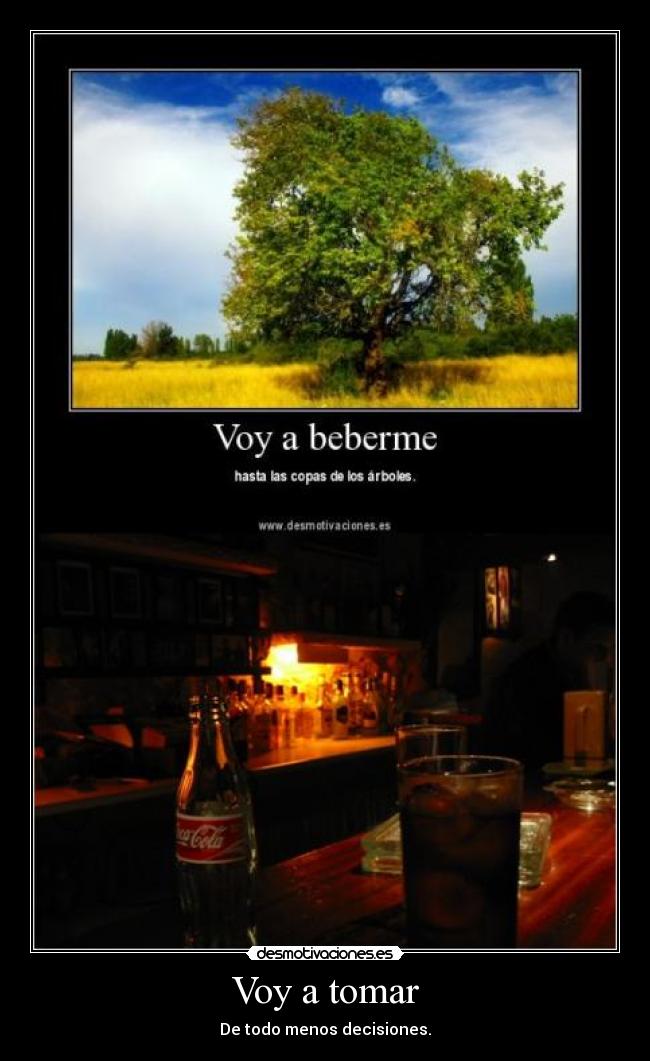 Voy a tomar - 