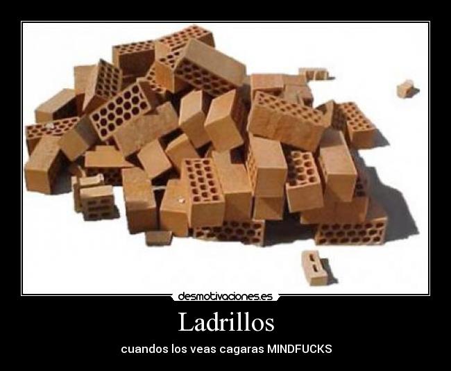Ladrillos -