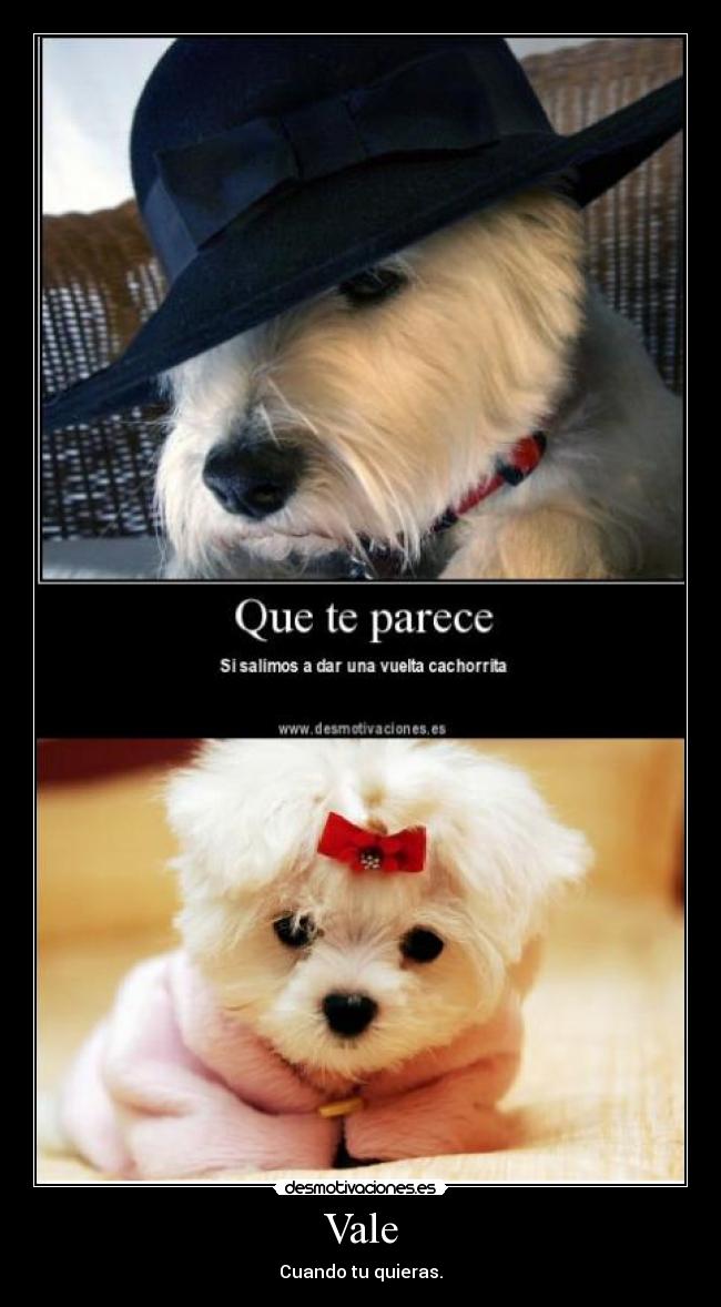 Vale - Cuando tu quieras.
