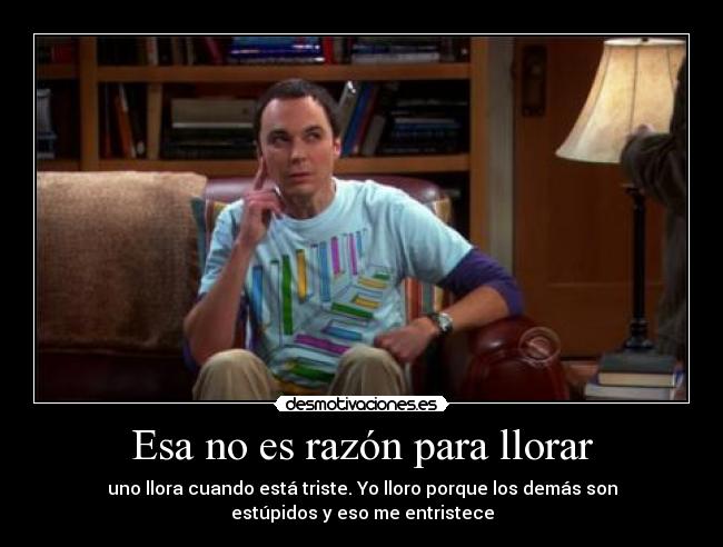 carteles llorar sheldon cooper desmotivaciones