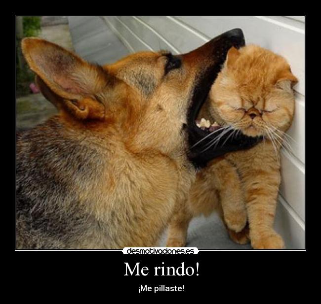 Me rindo! - ¡Me pillaste!
