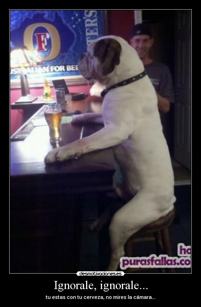 Ignorale, ignorale... - tu estas con tu cerveza, no mires la cámara...