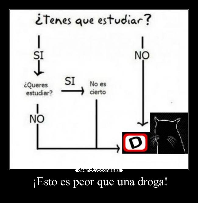 ¡Esto es peor que una droga! - 