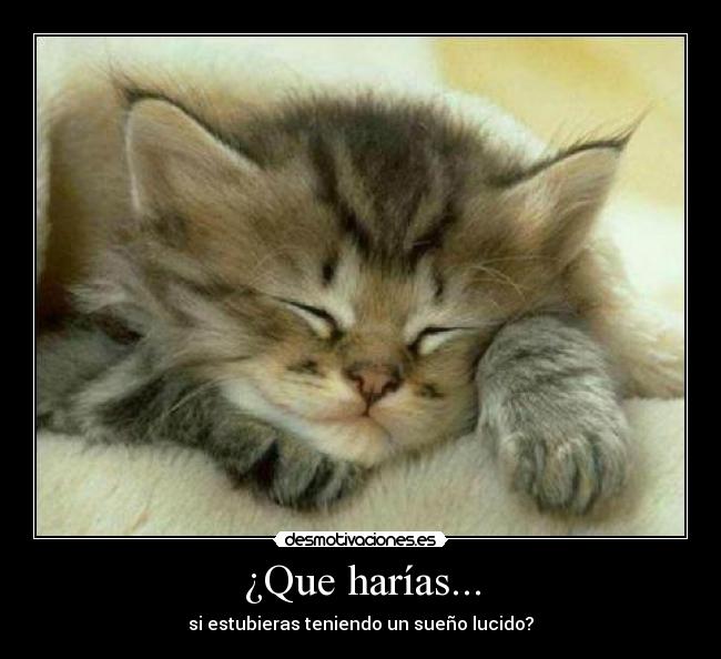 ¿Que harías... - si estubieras teniendo un sueño lucido?