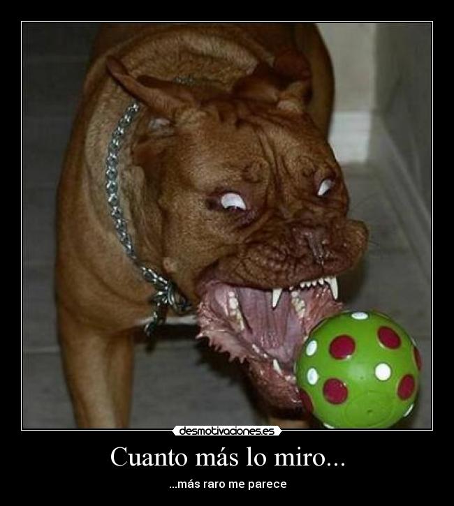 Cuanto más lo miro... - ...más raro me parece