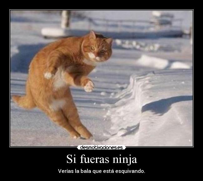 Si fueras ninja -