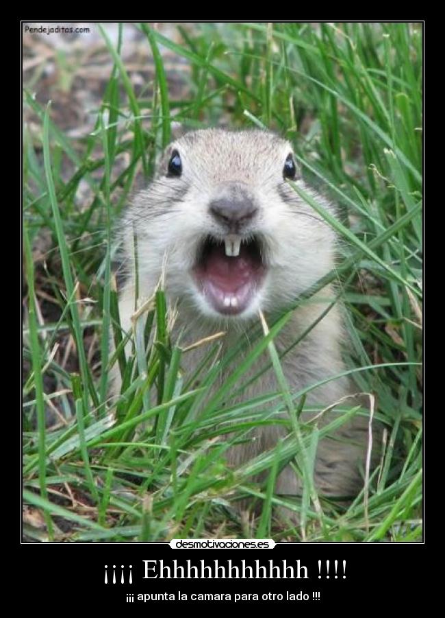 ¡¡¡¡ Ehhhhhhhhhhh !!!! - ¡¡¡ apunta la camara para otro lado !!!