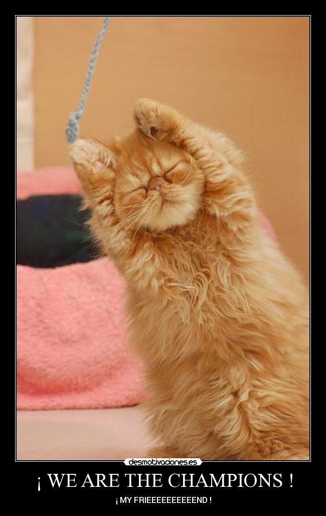 ¡ WE ARE THE CHAMPIONS ! - 