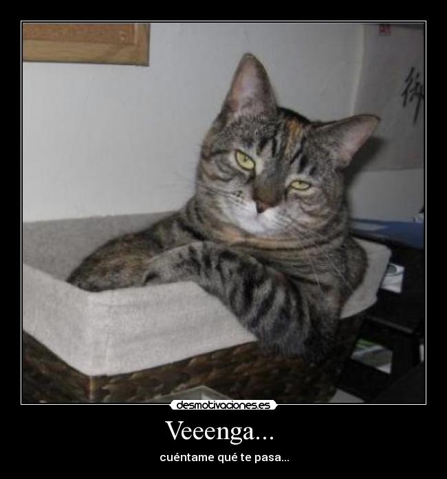 Veeenga...  - 