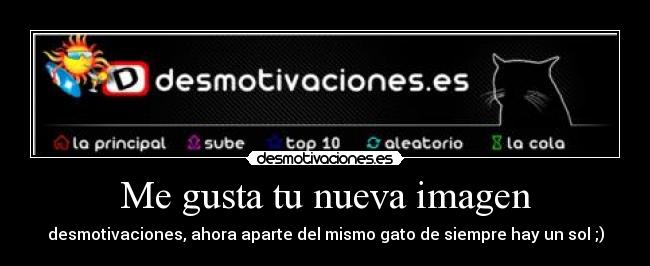 Me gusta tu nueva imagen - desmotivaciones, ahora aparte del mismo gato de siempre hay un sol ;)
