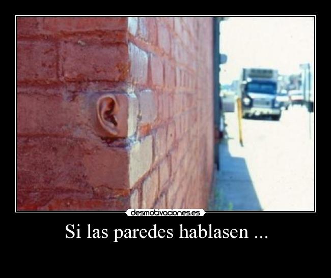 Si las paredes hablasen ... - 