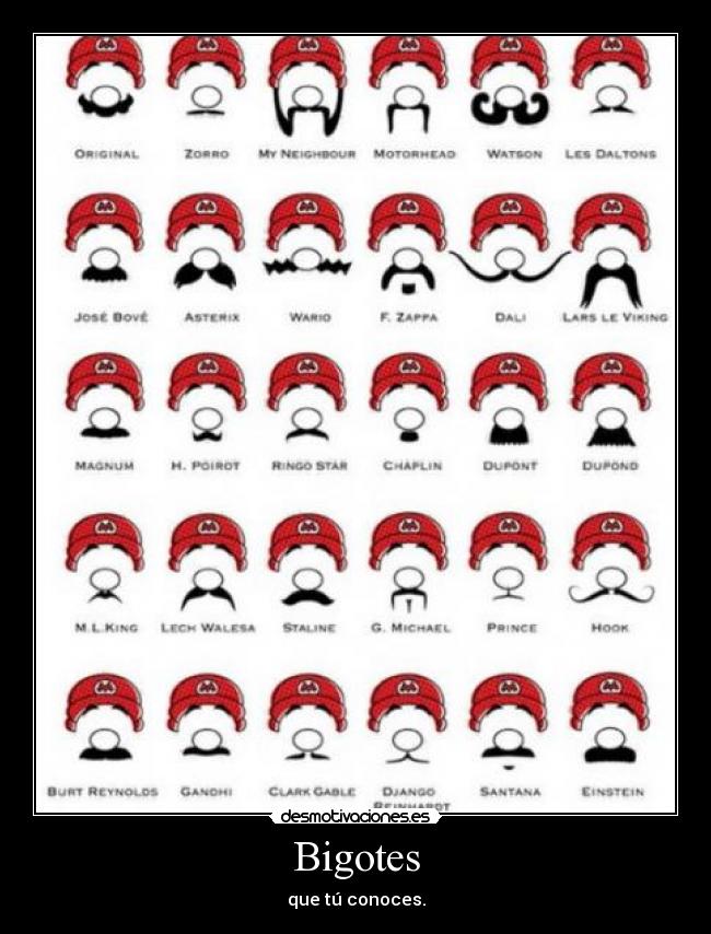 Bigotes - 