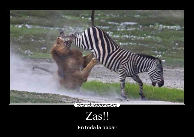 Zas!! -