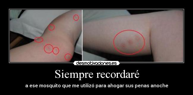 Siempre recordaré -