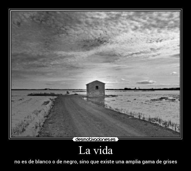 La vida - 