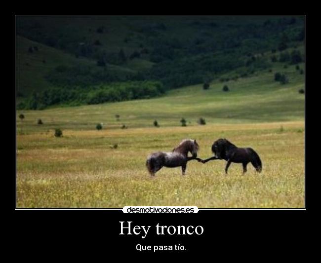 Hey tronco - Que pasa tío.