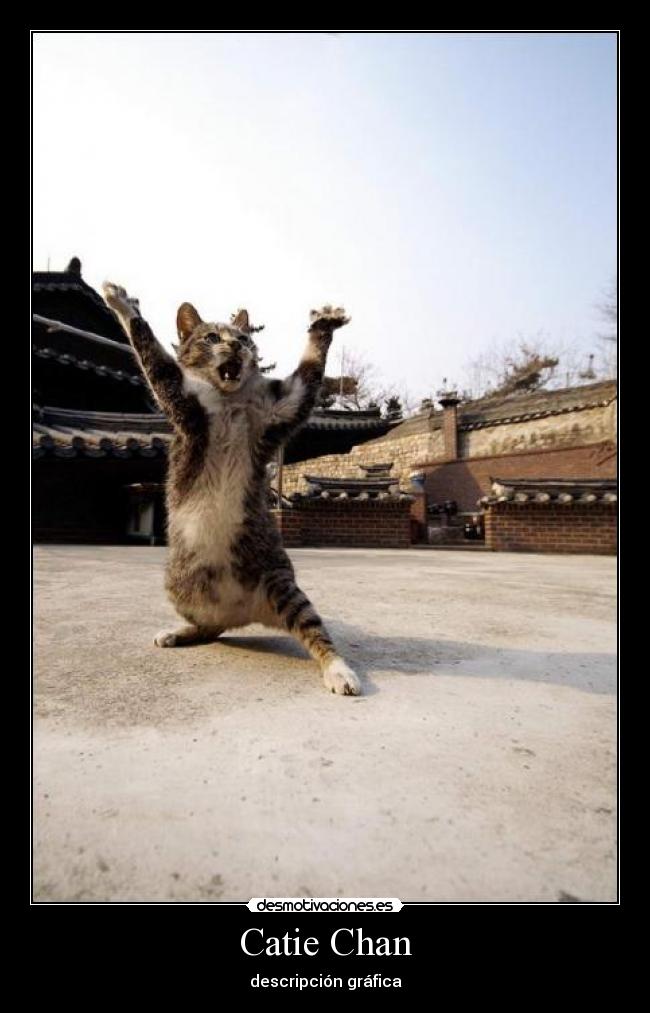 Catie Chan - descripción gráfica