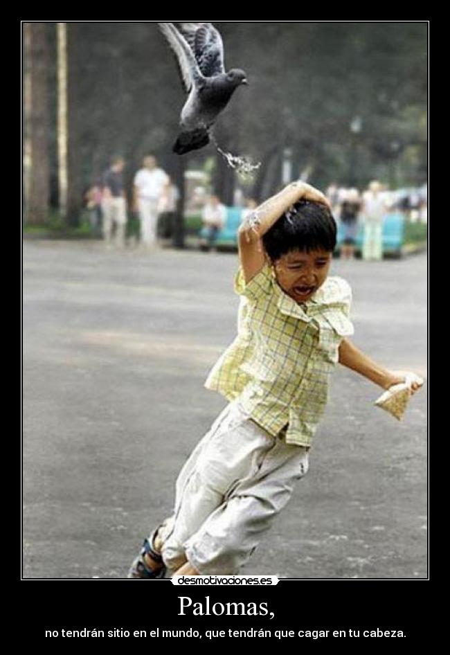 Palomas, -