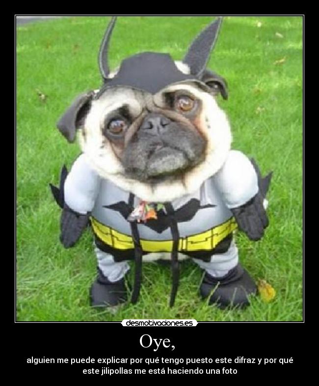 Oye,  - alguien me puede explicar por qué tengo puesto este difraz y por qué
este jilipollas me está haciendo una foto