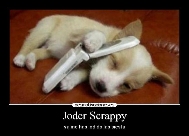 Joder Scrappy - ya me has jodido las siesta