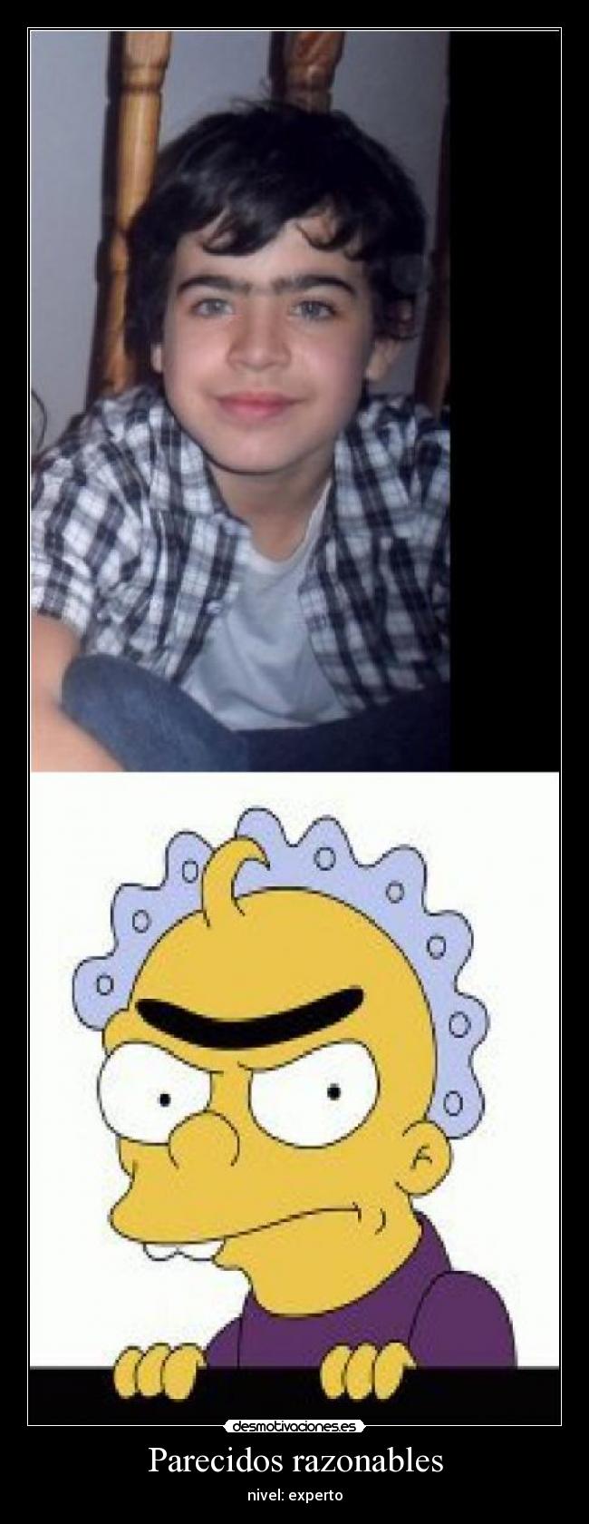 Parecidos razonables -