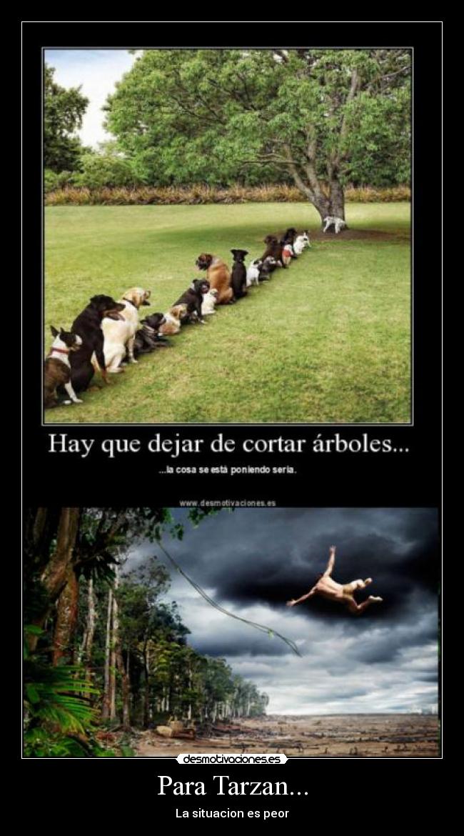 Para Tarzan... -