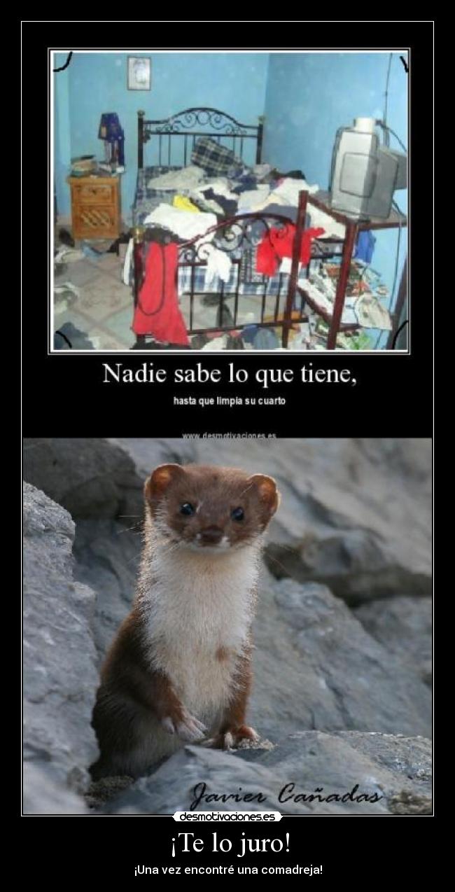 ¡Te lo juro! - ¡Una vez encontré una comadreja!