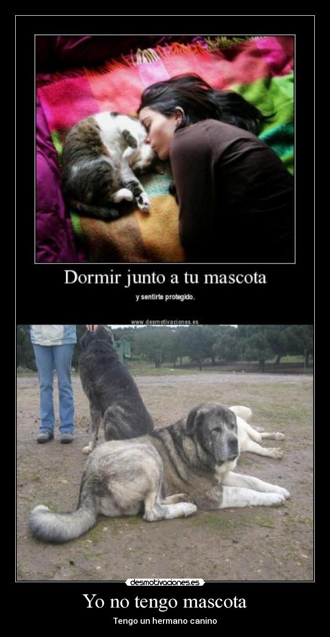 Yo no tengo mascota - 