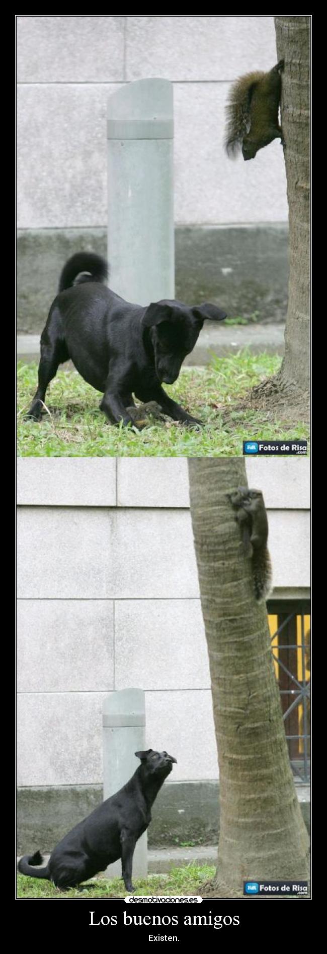 Los buenos amigos - Existen.