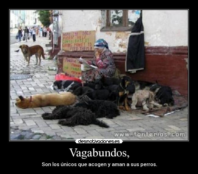 carteles adri13 desmotivaciones