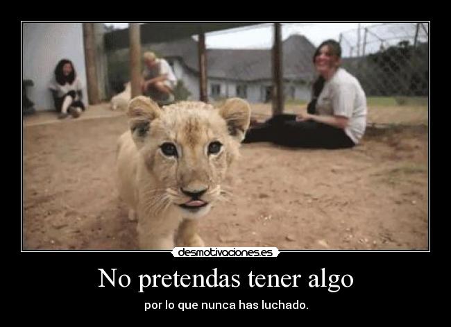 No pretendas tener algo - por lo que nunca has luchado.
