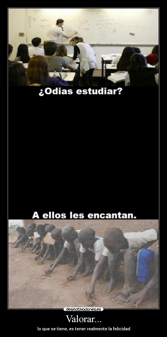 Valorar... - lo que se tiene, es tener realmente la felicidad