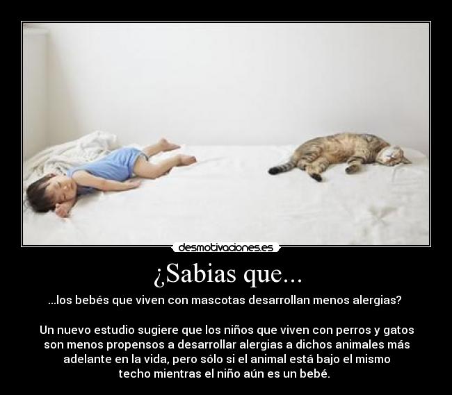 ¿Sabias que... - ...los bebés que viven con mascotas desarrollan menos alergias? 

Un nuevo estudio sugiere que los niños que viven con perros y gatos
son menos propensos a desarrollar alergias a dichos animales más
adelante en la vida, pero sólo si el animal está bajo el mismo
techo mientras el niño aún es un bebé. 