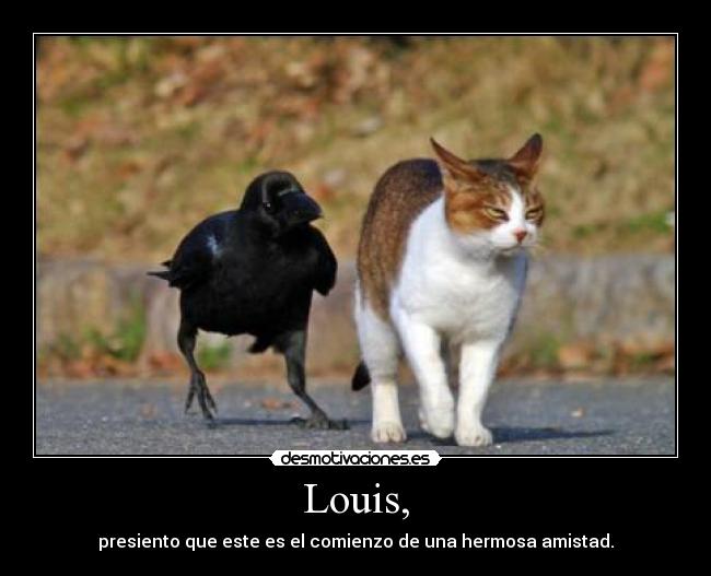 Louis, - 