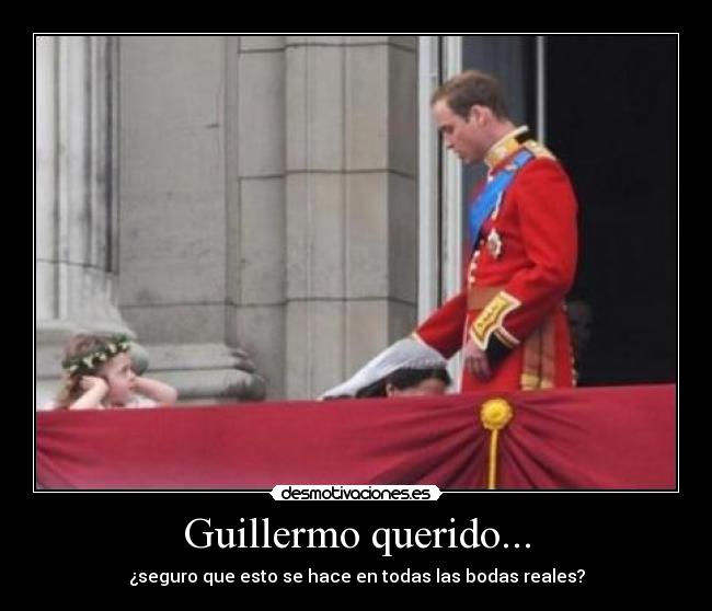 carteles guillermo querido desmotivaciones