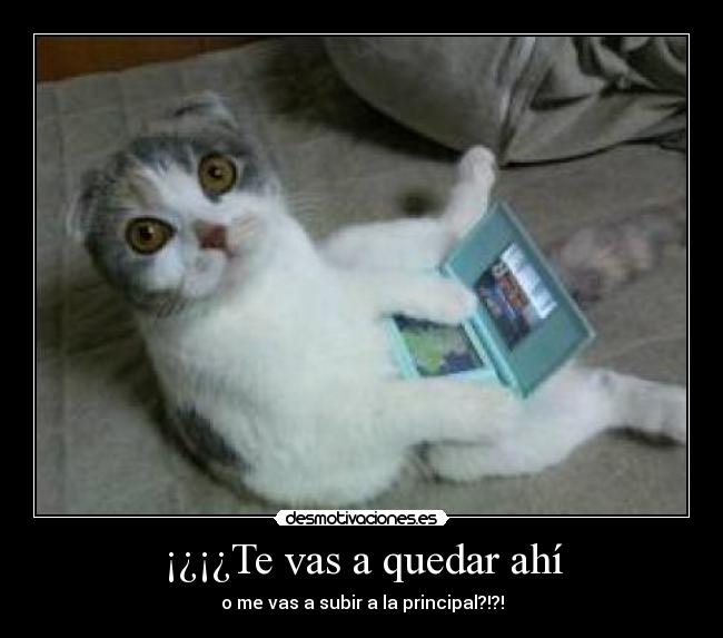 ¡¿¡¿Te vas a quedar ahí - o me vas a subir a la principal?!?!