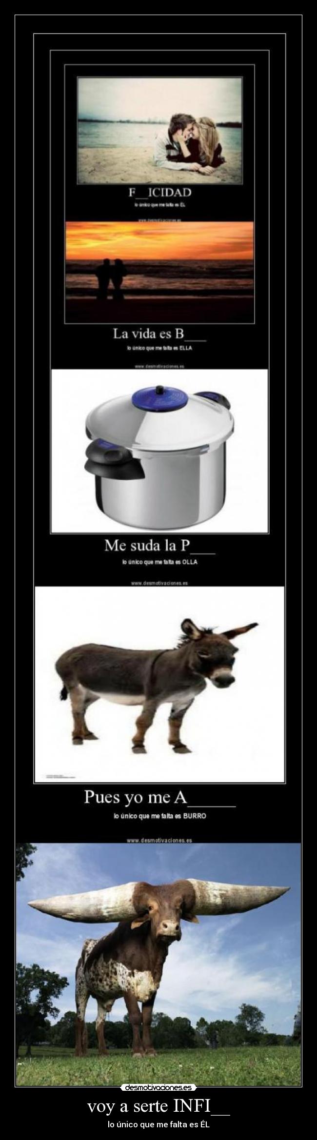 voy a serte INFI__ - 