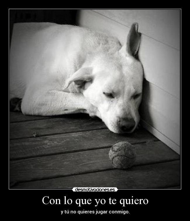 Con lo que yo te quiero - 