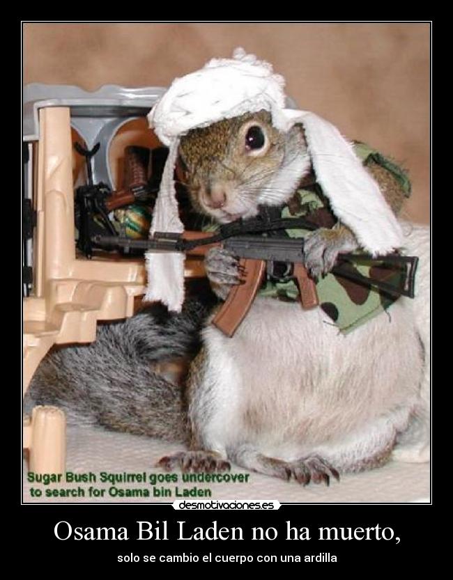 Osama Bil Laden no ha muerto, - 