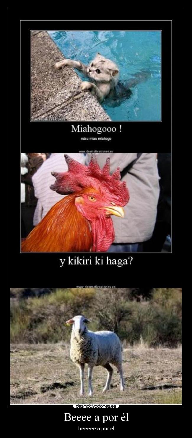 Beeee a por él - beeeee a por él