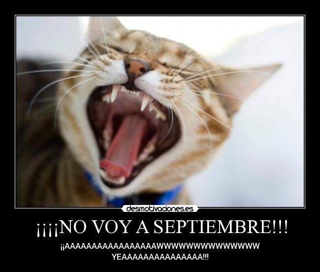 ¡¡¡¡NO VOY A SEPTIEMBRE!!! - 