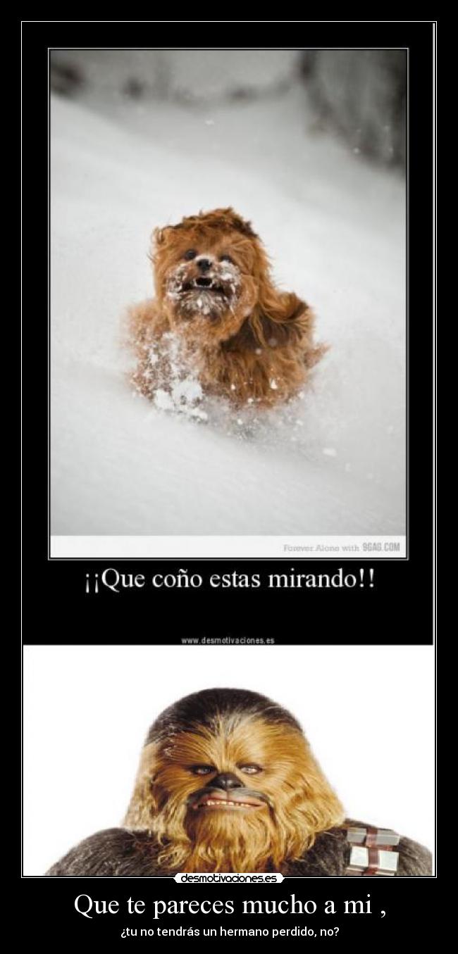 Que te pareces mucho a mi , - 