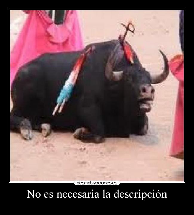 No es necesaria la descripción -