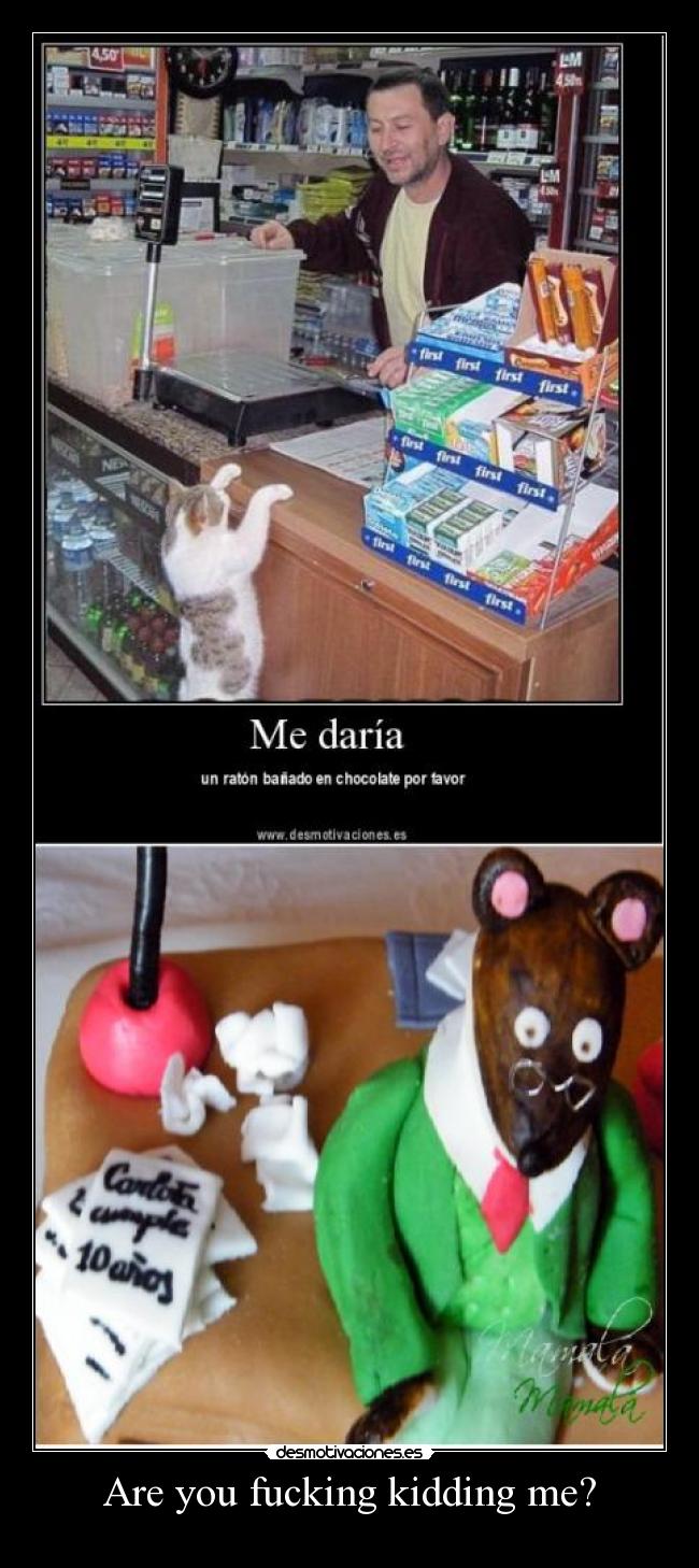 Are you fucking kidding me? - 