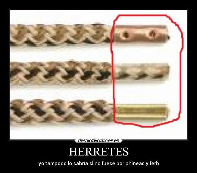 HERRETES - yo tampoco lo sabría si no fuese por phineas y ferb