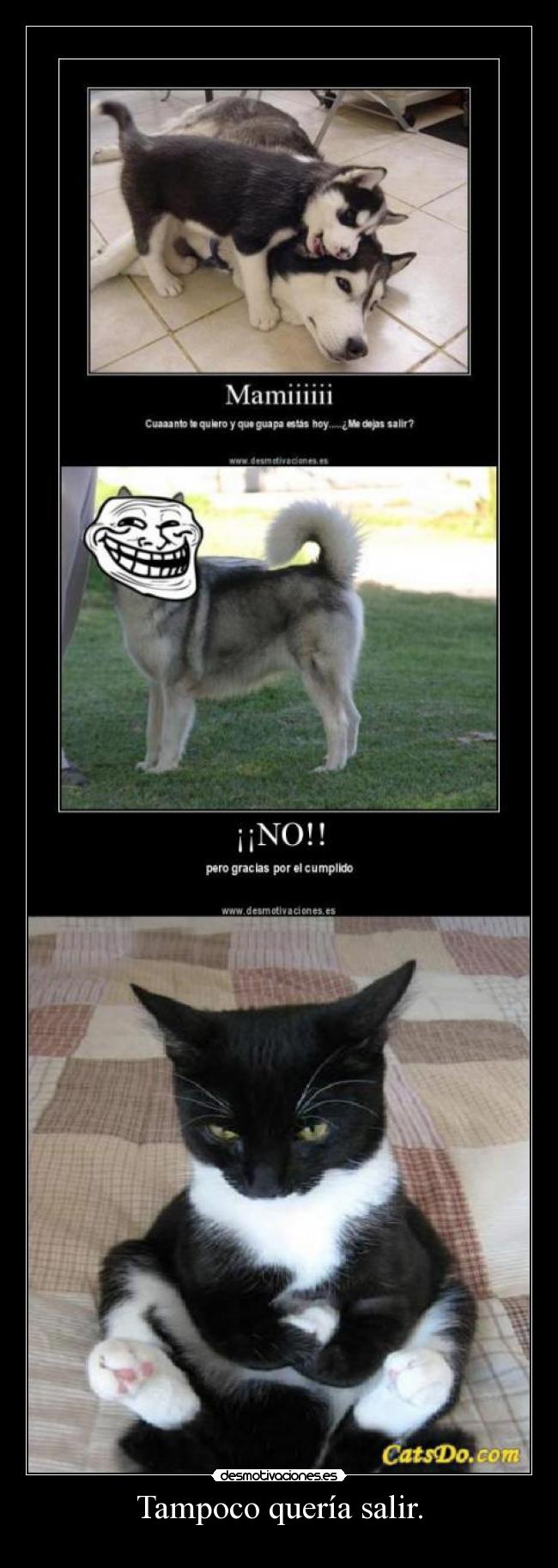 Tampoco quería salir. - 