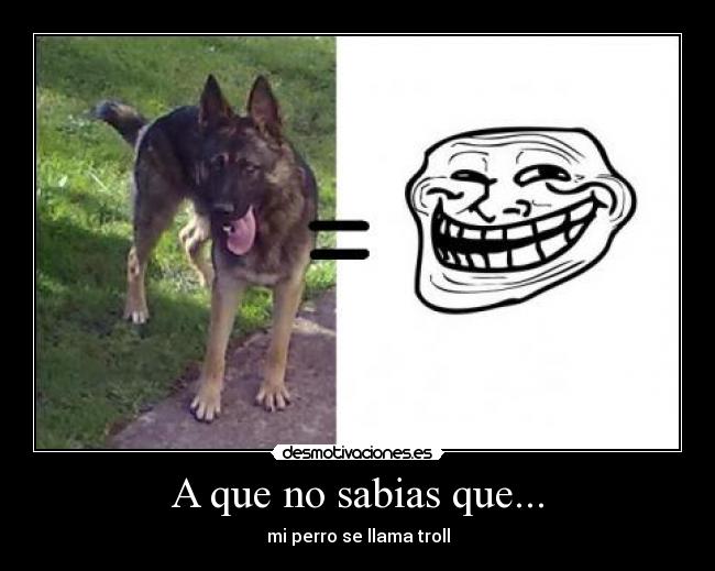 A que no sabias que... - mi perro se llama troll